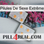 Pilules De Sexe Extrême 25